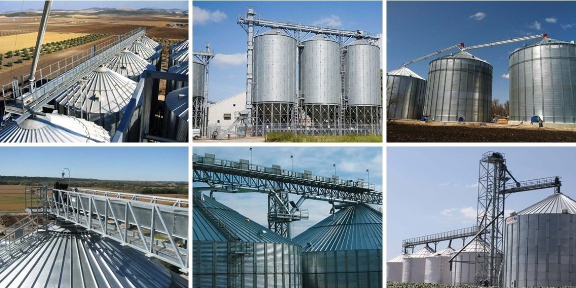 Băng tải cạp hạt